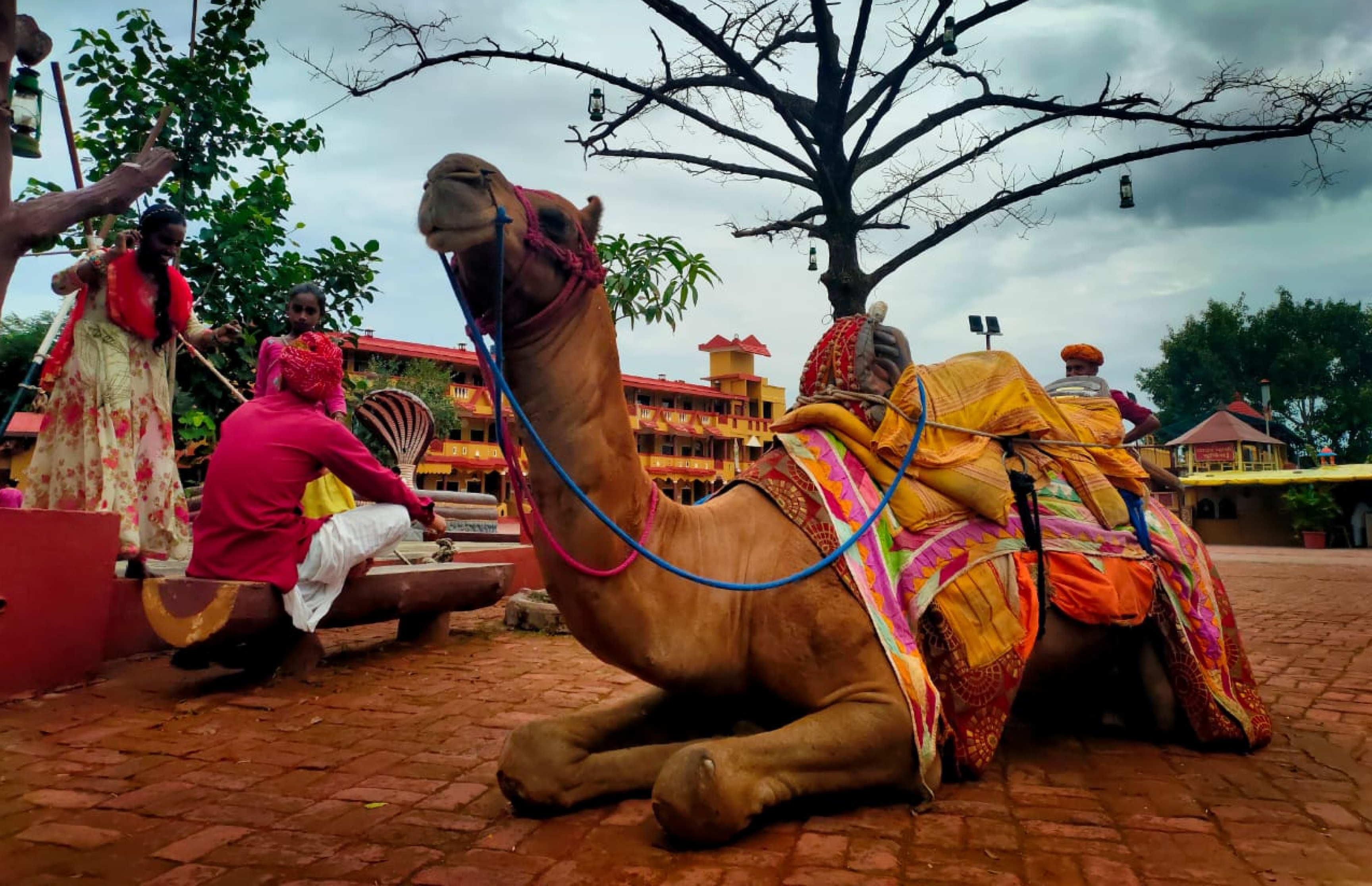 Kalbelia, Ghoomar & Folk Melodies