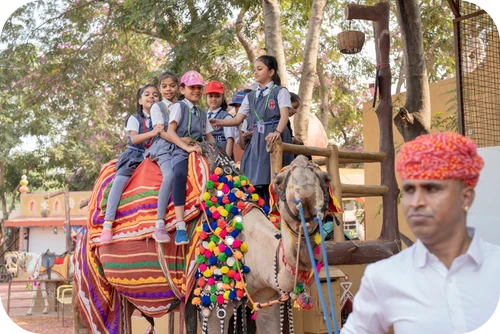 Picnic Village Tour & Rides